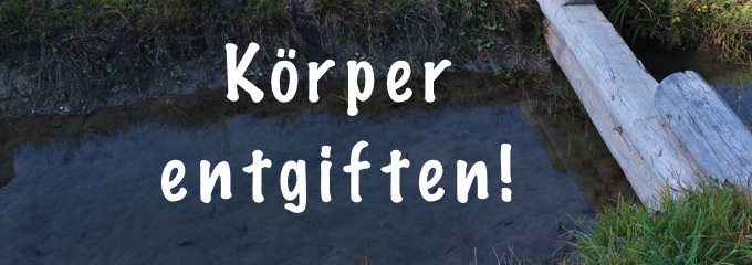 Körper entgiften! Meine 7 einfachen Methoden für jeden Tag!