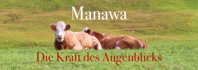 MANAWA - JETZT ist der Moment der Kraft